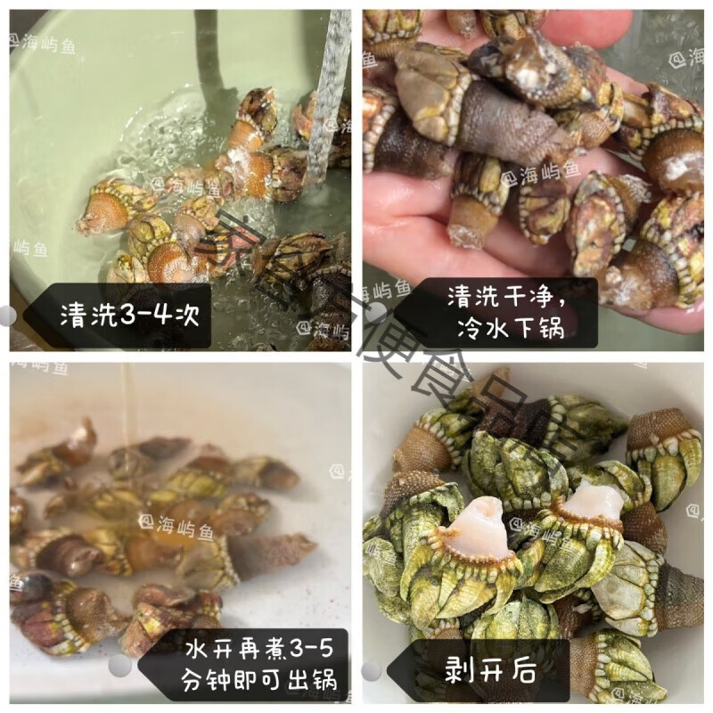 海洋塑料清理之困：打捞垃圾还是干扰生态？