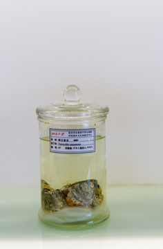 骗走国家280亿！曾扬言发射32颗卫星花3300亿挖运河现已失联