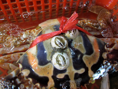 科华生物：公司甲流抗原胶体金产品适用于早期诊断具有快速简便易于操作优点可居家完成检测