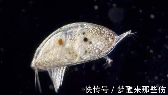 天津大学成立合成生物学院引领未来生物制造产业