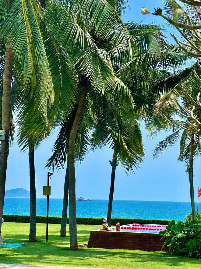 带孩子去三亚旅游攻略 守护蓝色家园的实践之旅 给孩子的自然课堂(图4)