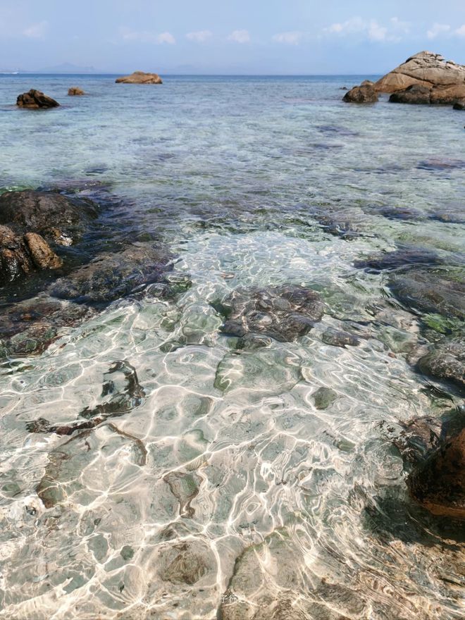 带孩子去三亚旅游攻略 守护蓝色家园的实践之旅 给孩子的自然课堂(图2)