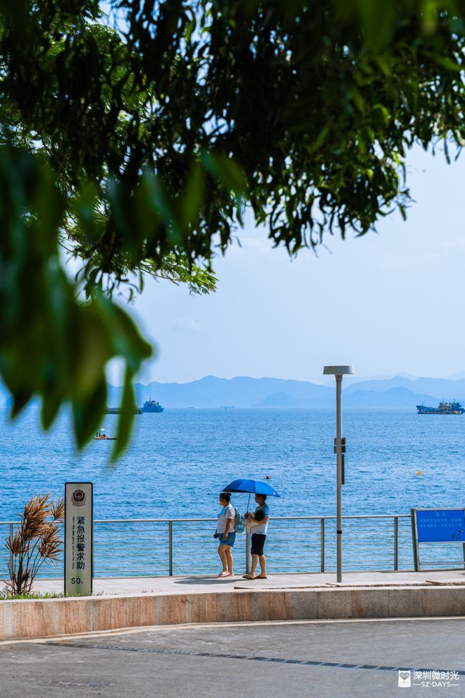 深圳可以露营的碧海银滩全年免费免预约(图4)