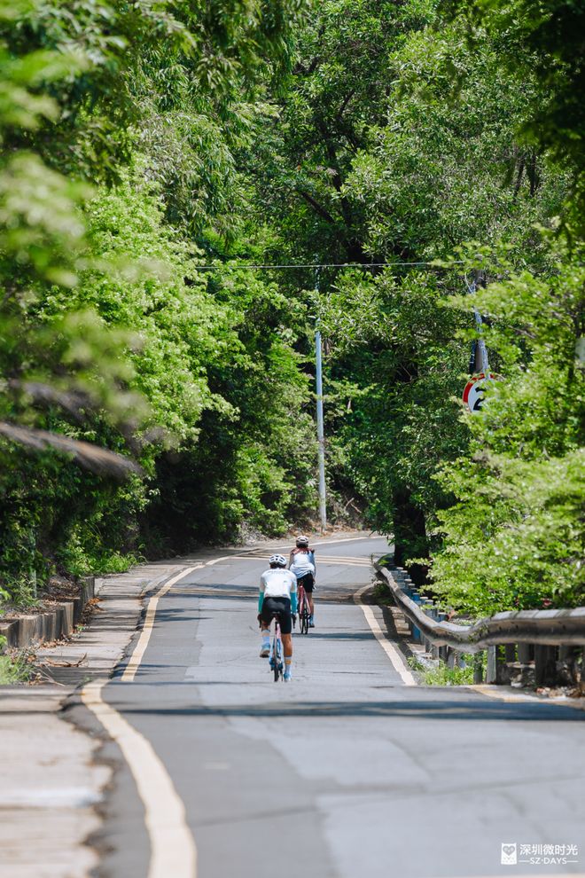 深圳可以露营的碧海银滩全年免费免预约(图5)