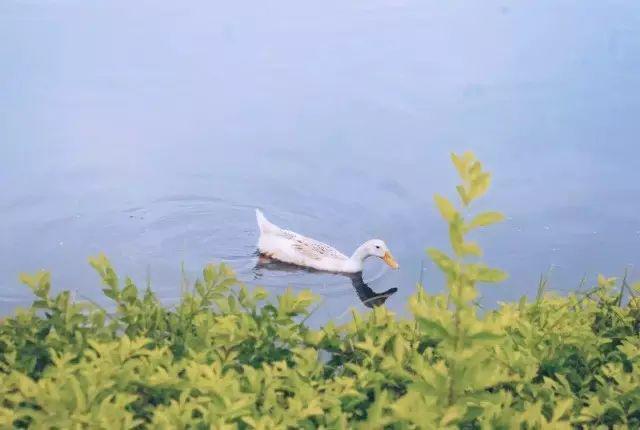 王潞 《清前期的島民管理》緒言(图6)