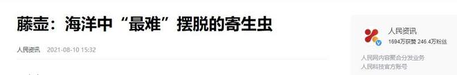 “海中流氓”有多缺德?鲸鱼隐私部位都被寄生会影响它们交配吗(图15)