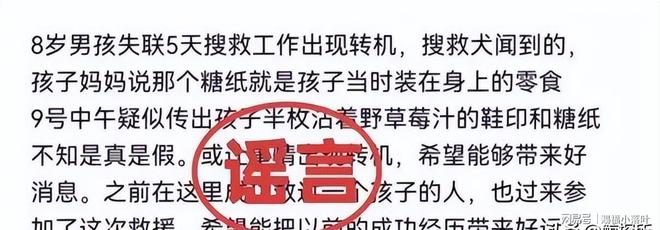 8岁男童失踪11天官方辟谣无人体碎片搜救持续进行(图6)