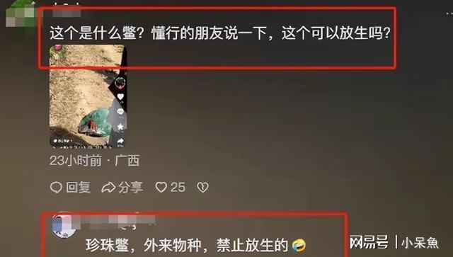 陕西安康放生外来物种闯大祸!专家急呼快管管(图4)