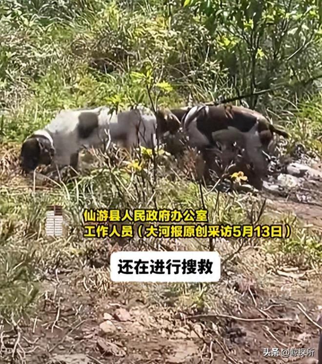 8岁男童失踪第11天:救援人员发声最不愿看到的事情还是发生了(图1)