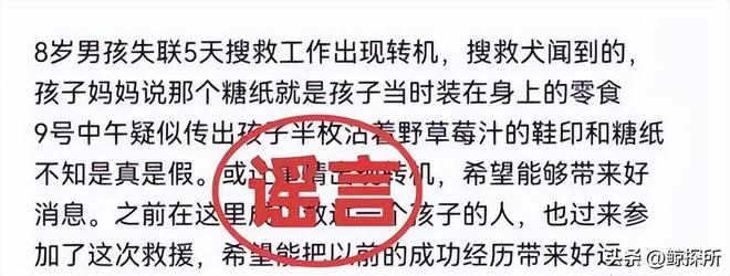8岁男童失踪第11天:救援人员发声最不愿看到的事情还是发生了(图7)