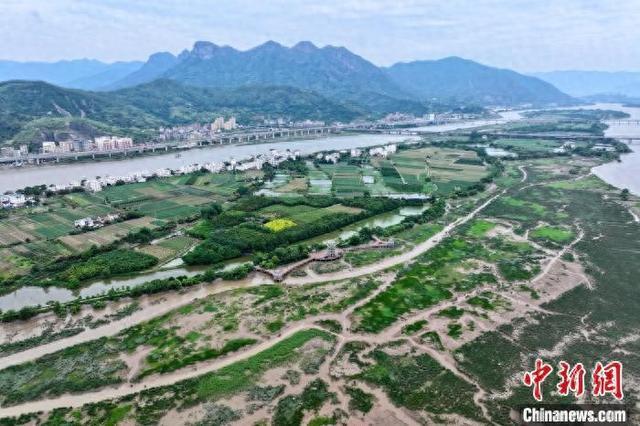 沙䳭现身福州 刷新福建鸟类记录(图1)