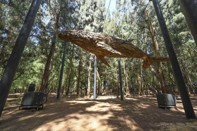 平潭岛:独树一帜的海岛旅行海蚀地貌、蓝眼泪奇观、石头厝村落(图9)