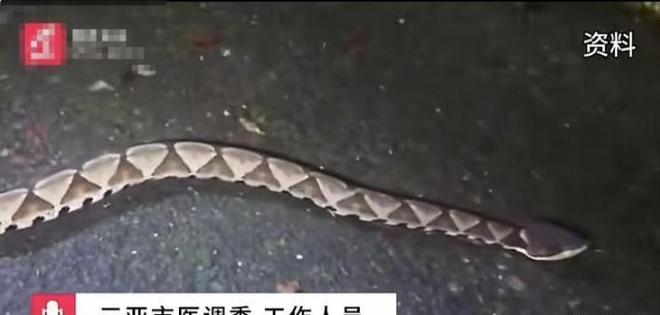 女子被蛇咬伤身亡后续:卫健委介入!家属质疑医院女孩真容被曝(图14)