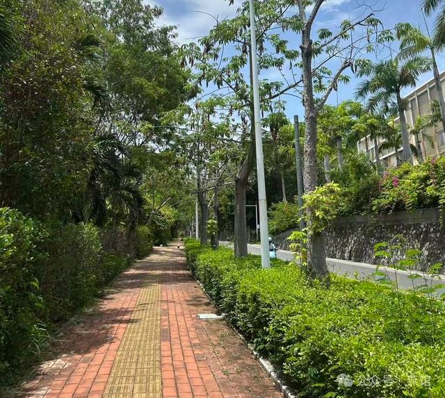 三亚毒蛇咬人事件那些忽视的真相!(图1)