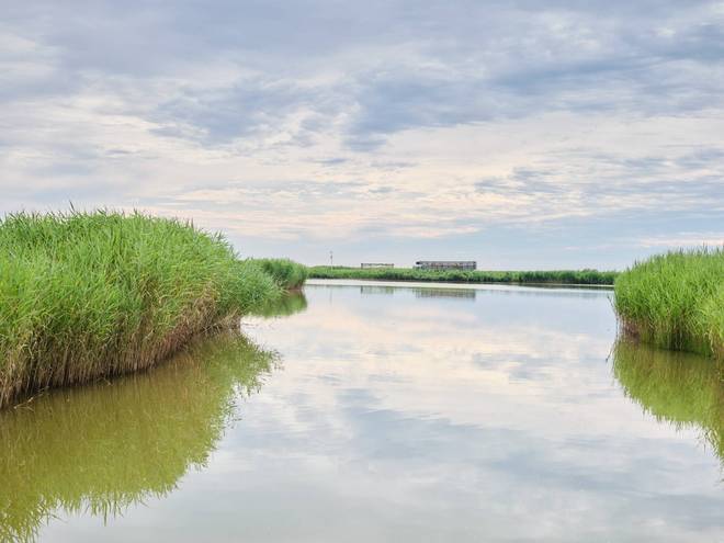 锦州东方华城湿地公园环境优美水鸟争鸣是休闲散心的好去处(图4)