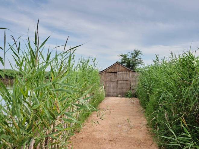 锦州东方华城湿地公园环境优美水鸟争鸣是休闲散心的好去处(图3)