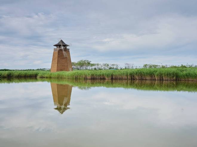 锦州东方华城湿地公园环境优美水鸟争鸣是休闲散心的好去处(图5)
