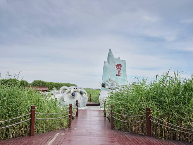 锦州东方华城湿地公园环境优美水鸟争鸣是休闲散心的好去处(图6)