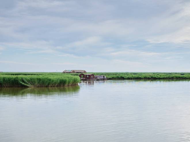 锦州东方华城湿地公园环境优美水鸟争鸣是休闲散心的好去处(图9)