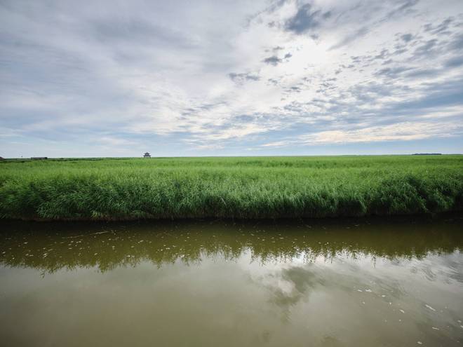 锦州东方华城湿地公园环境优美水鸟争鸣是休闲散心的好去处(图10)
