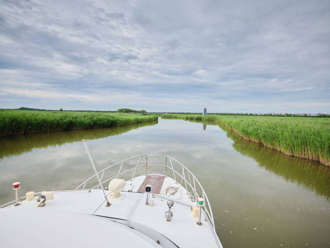 锦州东方华城湿地公园环境优美水鸟争鸣是休闲散心的好去处(图12)