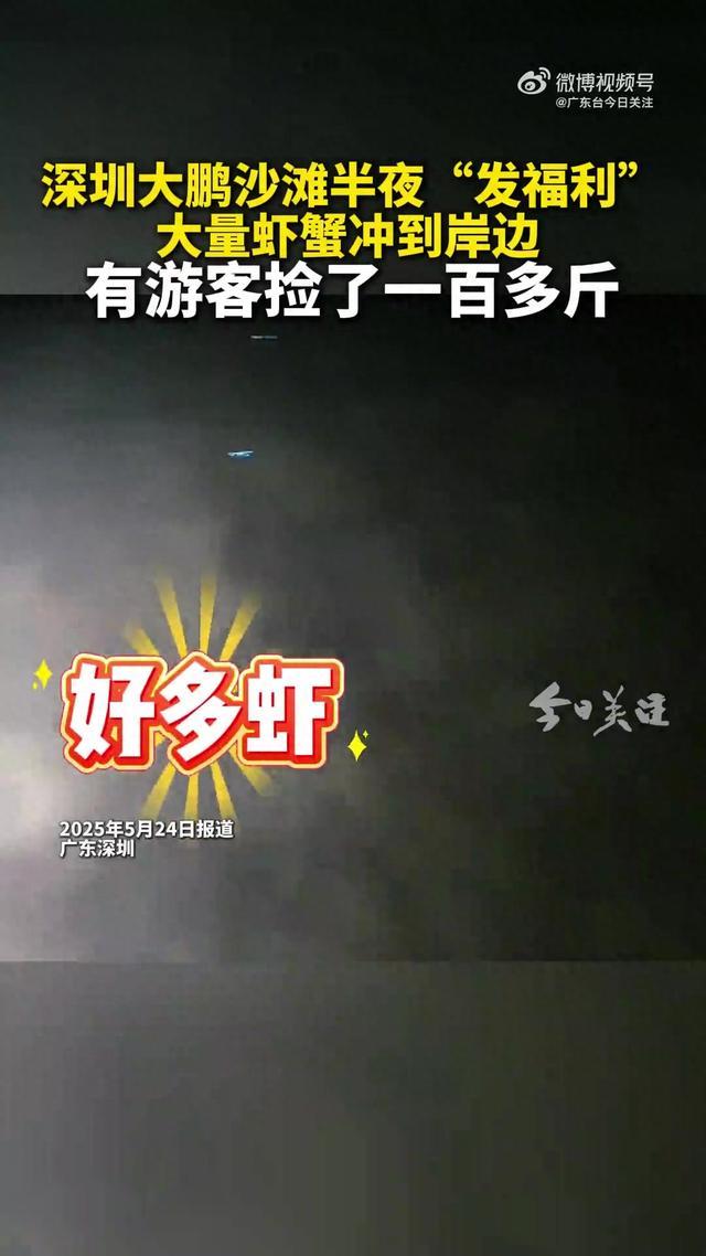 深圳大鹏沙滩大量虾蟹冲到岸边(图1)