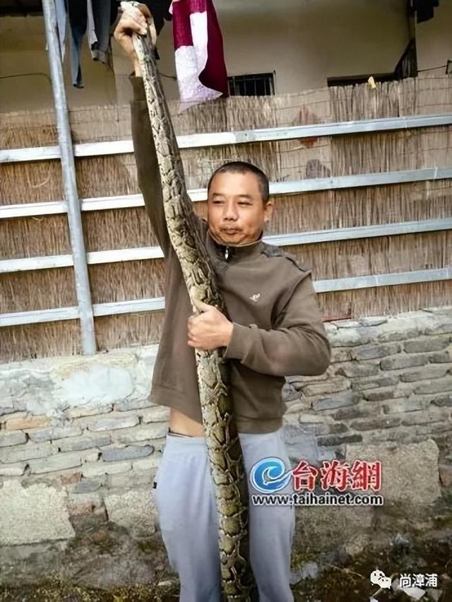 三亚女游客被蛇咬身亡事件带火蛇类博主两天涨粉200万电话被打爆交给朋友接听(图5)