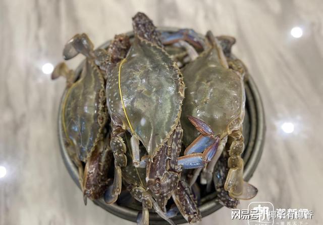 未来三天梭子蟹价格大跳水 年轻人组队批发市场捡漏(图3)