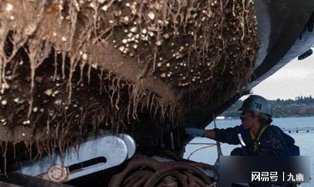 航母拖回几十吨海鲜海军却直接烧掉背后藏着什么秘密?(图2)