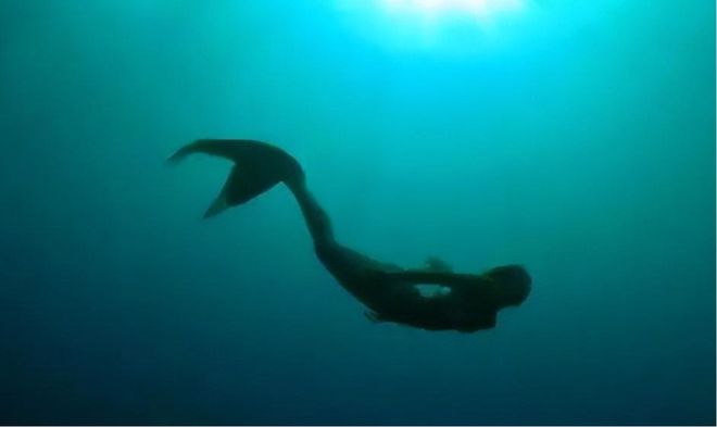 南海出现“鲛人”多次?渔民看见人身鱼尾生物山海经中有记载(图3)