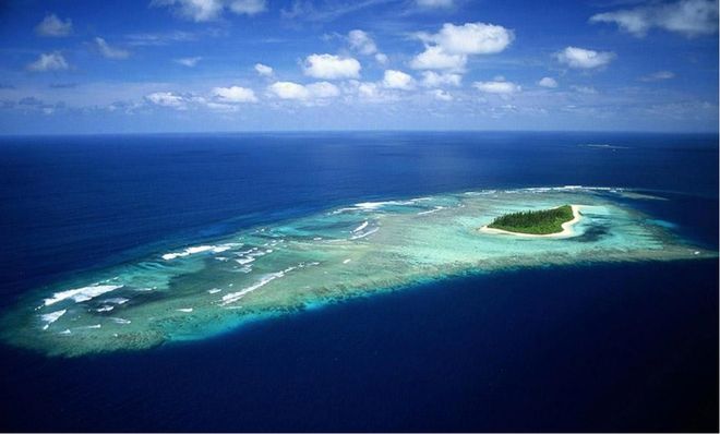 南海出现“鲛人”多次?渔民看见人身鱼尾生物山海经中有记载(图2)