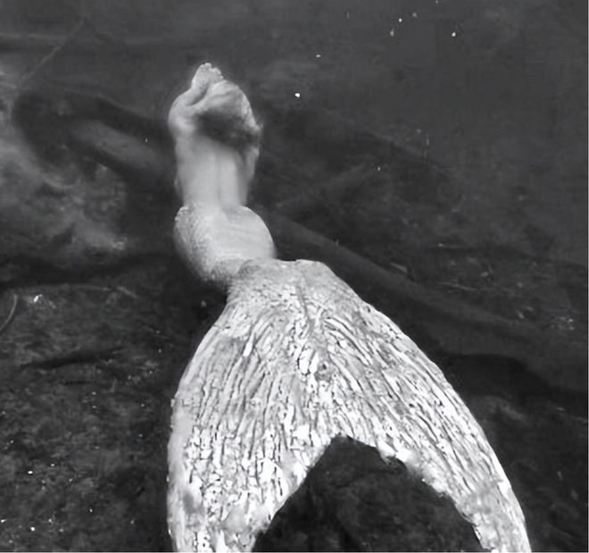 南海出现“鲛人”多次?渔民看见人身鱼尾生物山海经中有记载(图4)