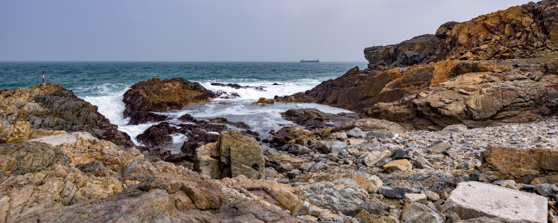 藤壶会长了人身上吗(图1)