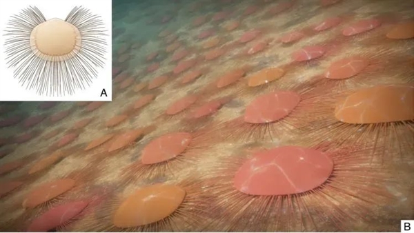 436亿年前的远古生物 用刚毛保持“社交距离”(图2)