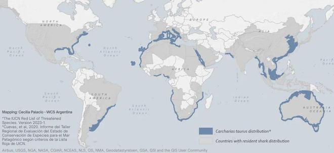 一个女孩成为洞穴潜水员并与沙虎鲨同游的一年(图4)