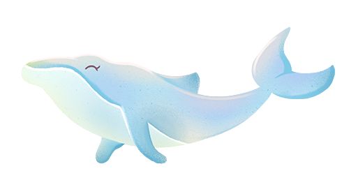 一个女孩成为洞穴潜水员并与沙虎鲨同游的一年(图6)