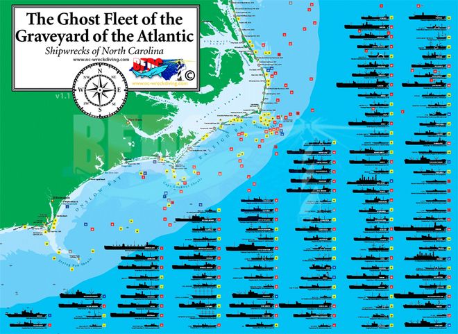 一个女孩成为洞穴潜水员并与沙虎鲨同游的一年(图7)
