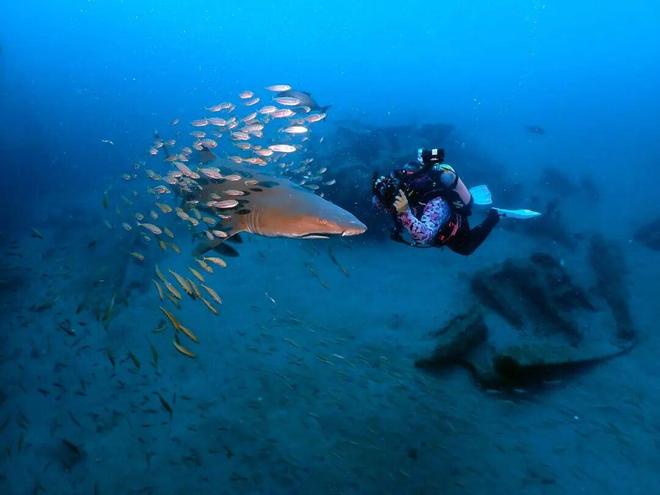 一个女孩成为洞穴潜水员并与沙虎鲨同游的一年(图13)