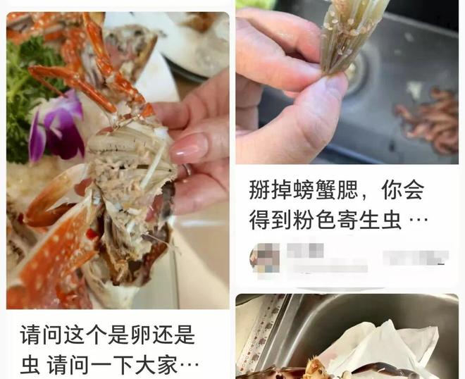 画面惊悚!掀开后密密麻麻全是“粉色小虫”还在不停蛄蛹近期大量上市(图2)