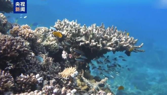 物候错配、家园“变形”……气候变化正重塑动物生存图景(图2)