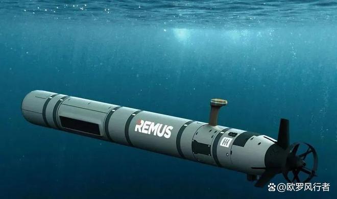 中国南海藏有“水下猎豹”!蓝鲸无人艇飙40节还能蹲30天航母都怕它!(图9)