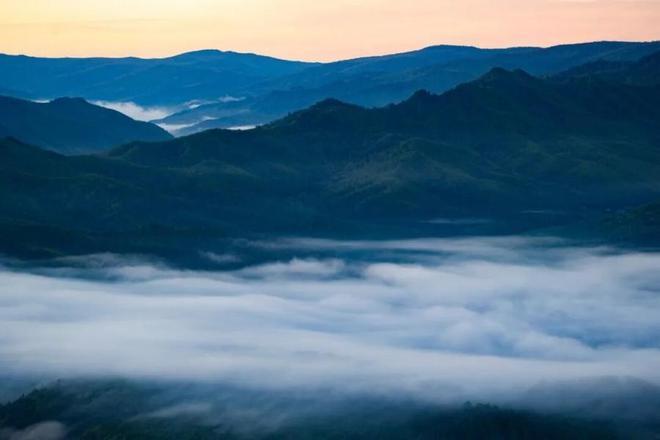 今夜在云间食梅童(图1)
