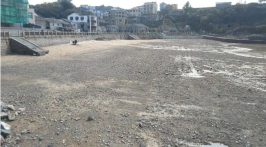 洞头一村大变样!太美了(图1)