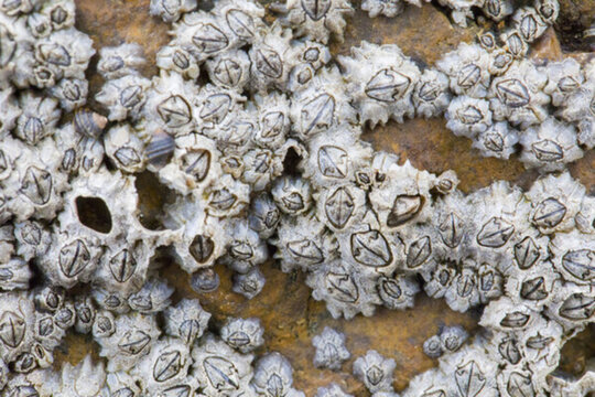 11年煎熬终结?马航370搜寻12月启动 黑科技能否揪出消失真相(图1) 11年煎熬终结?马航370搜寻12月启动 黑科技能否揪出消失真相