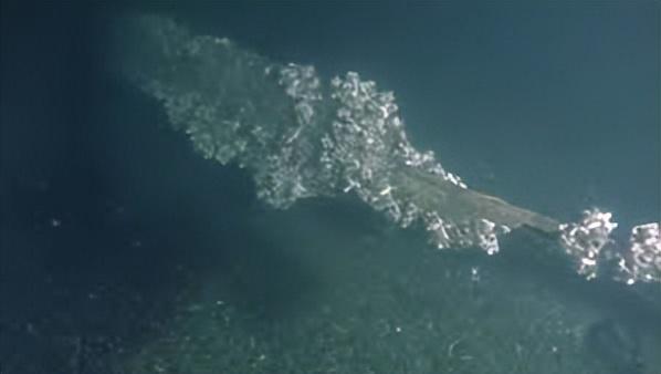 仅通车四个月就倒塌的大桥在海底造就新世界如今也要毁灭了(图4)