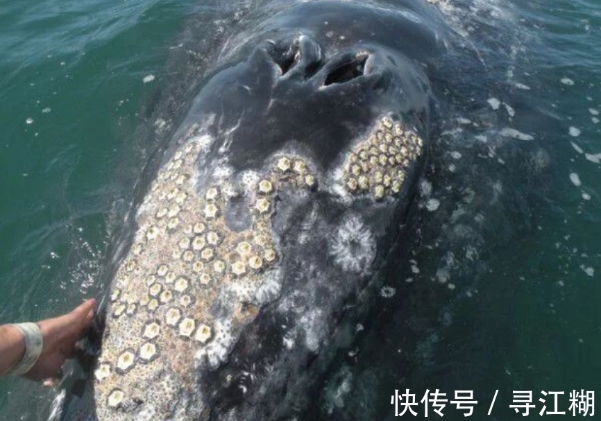 11安卓(最新收藏网)(图1) 11安卓(最新收藏网)