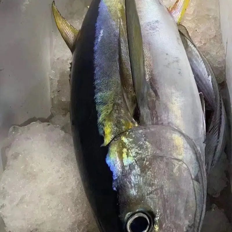 字母索引_A_1_食品资讯_食品资讯新闻报道安全行业监管消费者(图1) 字母索引_A_1_食品资讯_食品资讯食品新闻食品报道食品安全行业监管消费者