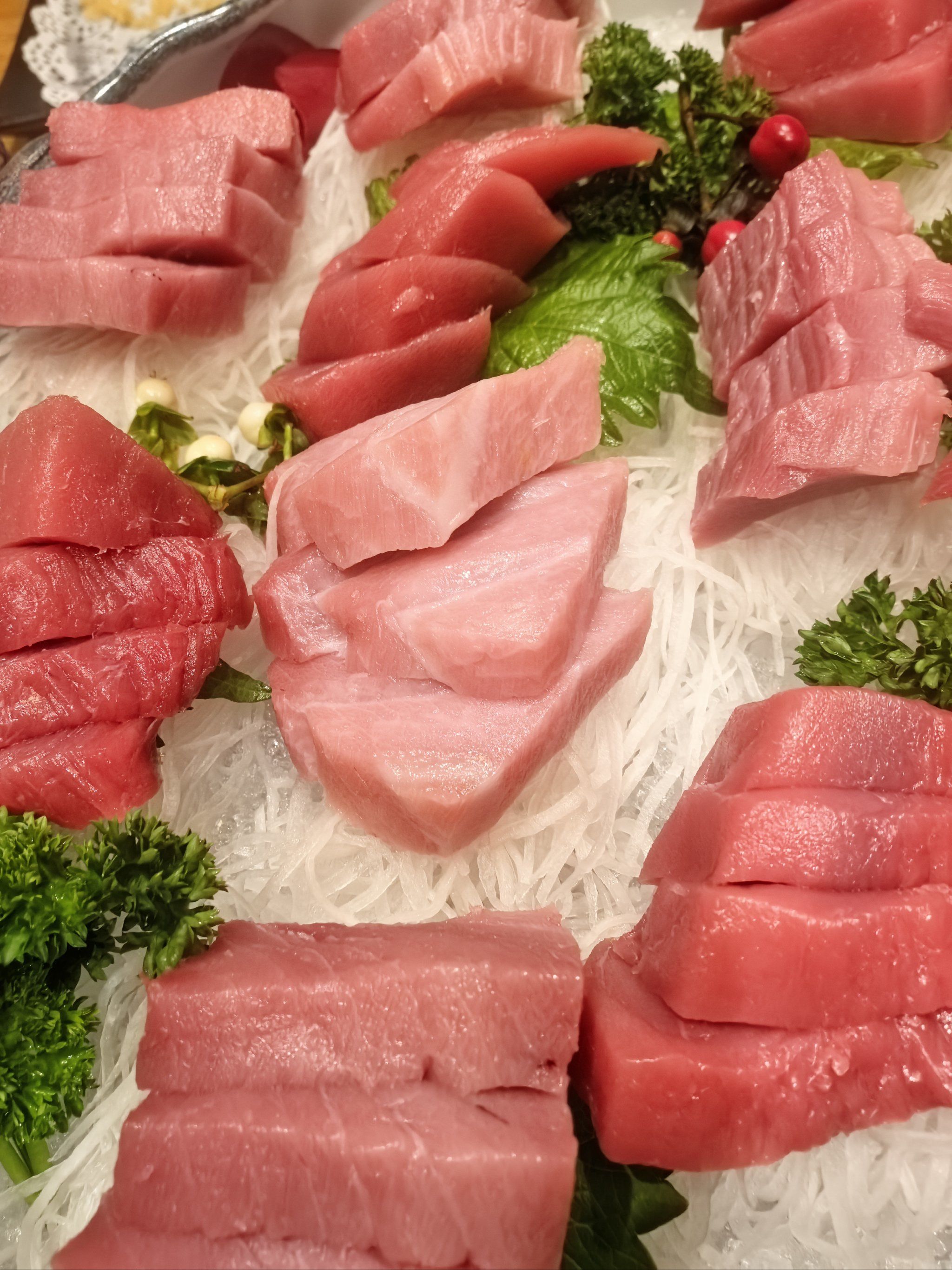 【第七届进博会】历届之最 388公斤“蓝鳍金枪鱼王”亮相进博会(图1) 【第七届进博会】历届之最 388公斤“蓝鳍金枪鱼王”亮相进博会