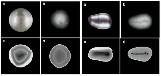 从关键词读懂2025丨锚定新质生产力产业发展开启多元“融合”(图1) 从关键词读懂2025丨锚定新质生产力产业发展开启多元“融合”