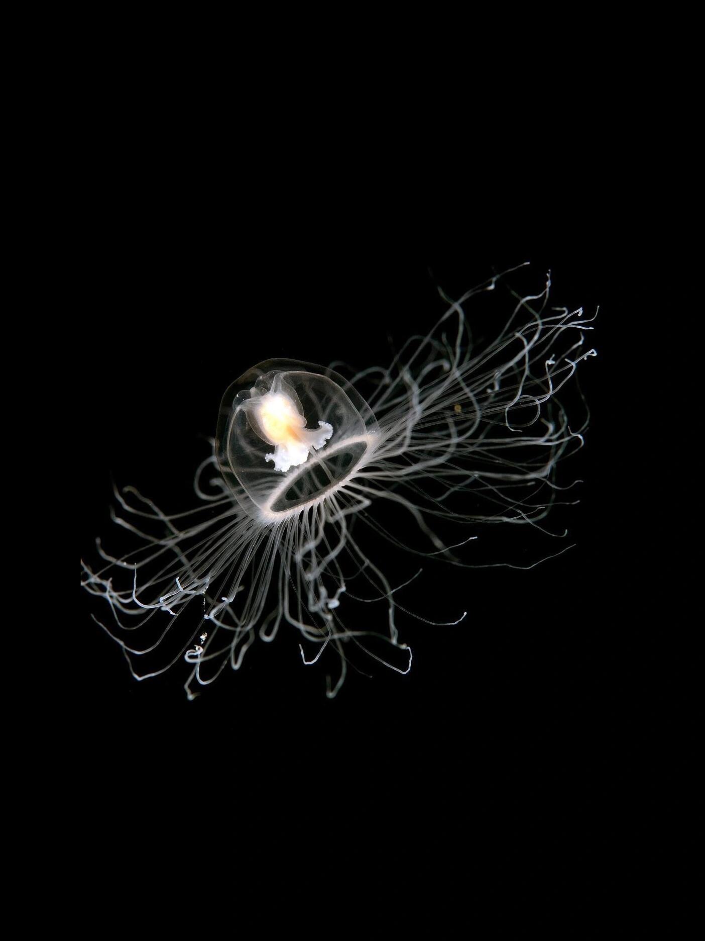 2025年台湾电影都拍了些什么？